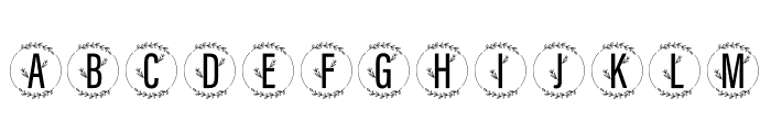 FLorist Monogram Font LOWERCASE