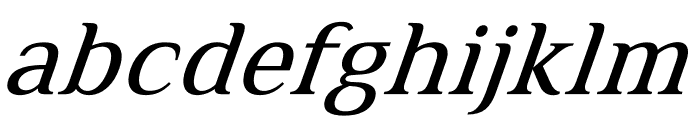 Fabie Italic Font LOWERCASE