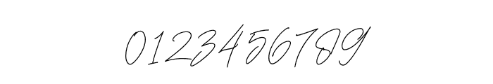 Fadeline Signature Regular Font OTHER CHARS