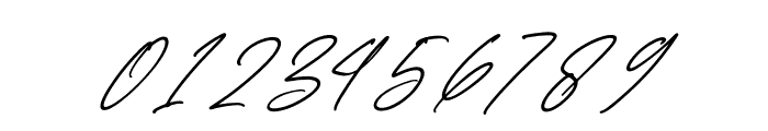 Faithfull Signature Italic Font OTHER CHARS