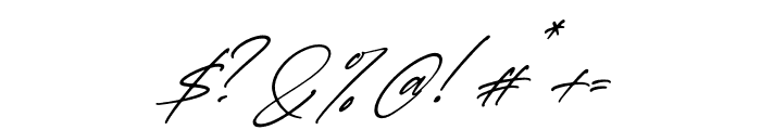 Faithfull Signature Italic Font OTHER CHARS