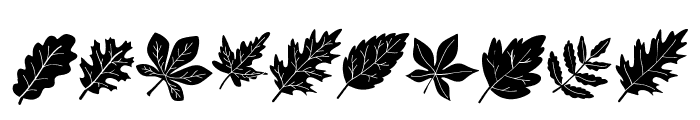 Fall Autunm Leaf Font OTHER CHARS