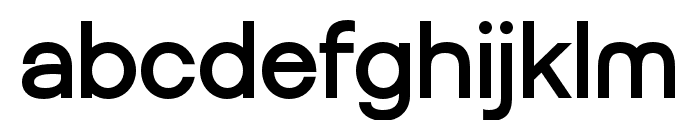 Famels-Regular Font LOWERCASE