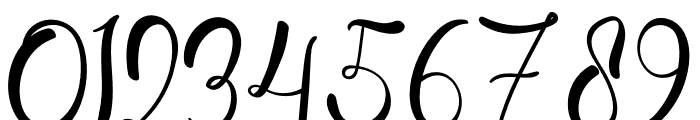 Fancy  Signature Font OTHER CHARS
