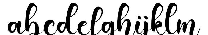 Fancy  Signature Font LOWERCASE