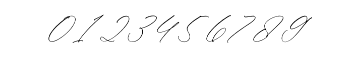 Fattrios Schudnel Italic Font OTHER CHARS