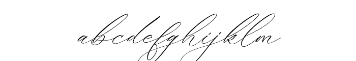 Fattrios Schudnel Italic Font LOWERCASE