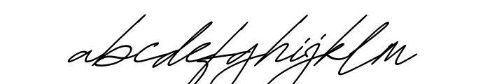 Fayetteville Signature Italic Font LOWERCASE
