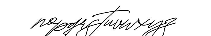 Fayetteville Signature Italic Font LOWERCASE