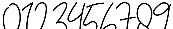 Felicia Signature Script Font OTHER CHARS
