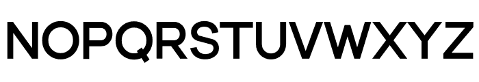 Fieldstones-ExtraBold Font UPPERCASE