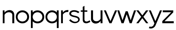 Fieldstones-Thin Font LOWERCASE