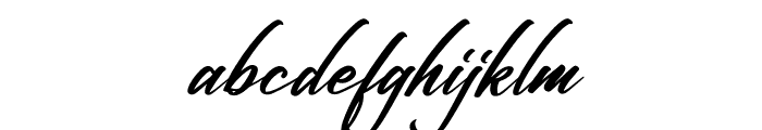 Fighterland Script Italic Font LOWERCASE