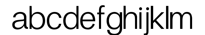 Finis Text Light Font LOWERCASE