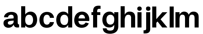 FinisText-Bold Font LOWERCASE