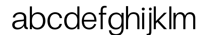 FinisText-Light Font LOWERCASE