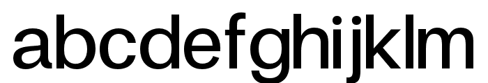 FinisText-Medium Font LOWERCASE