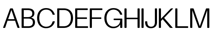 FinisTextSoft-Light Font UPPERCASE