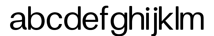 FinisTextSoft-Regular Font LOWERCASE