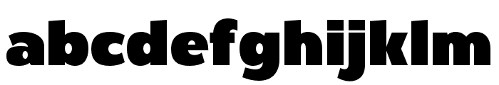 Firm Regular Font LOWERCASE