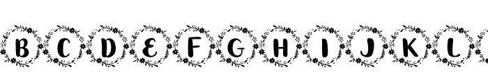 fontPreview