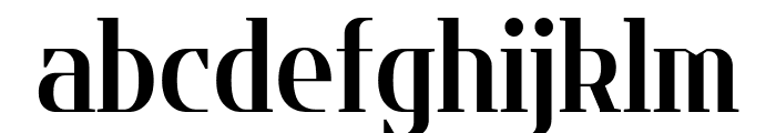 Flatory Serif Bold SemiCondensed Font LOWERCASE