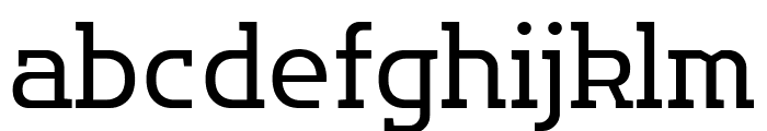 Flatory Slab Light Font LOWERCASE