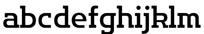 Flatory Slab Medium Font LOWERCASE