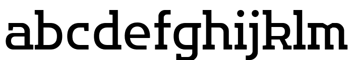 Flatory Slab Regular Font LOWERCASE