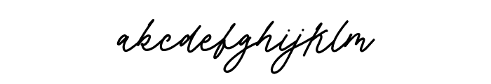Flaura Script Font LOWERCASE