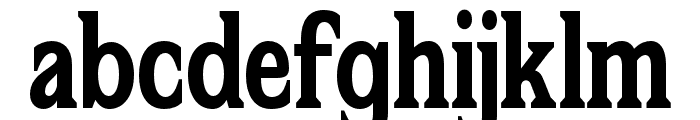 Flektura Regular FONT