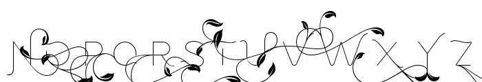 fontPreview