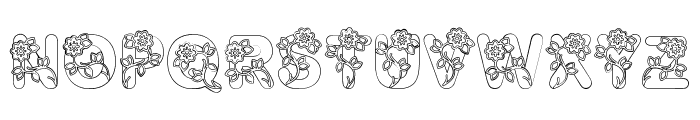 Flora Display Font LOWERCASE