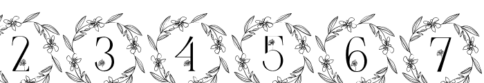 Floral Baby Monogram Font OTHER CHARS