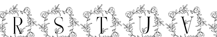 Floral Blossom Monogram Font LOWERCASE