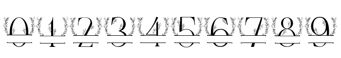 Floral Buds Monogram Font OTHER CHARS