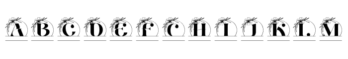 Floral Charm Line Monogram FONT