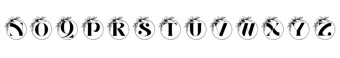 Floral Charm Monogram Font UPPERCASE