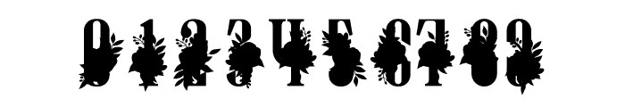 Floral Monogram Font OTHER CHARS