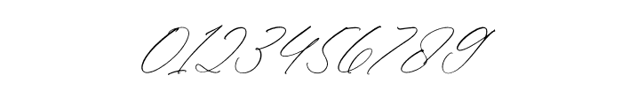 Florens Script Italic Font OTHER CHARS