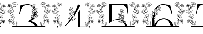 Flower Bloom Line Monogram Font OTHER CHARS