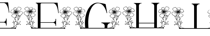 Flower Buds Line Monogram Font LOWERCASE