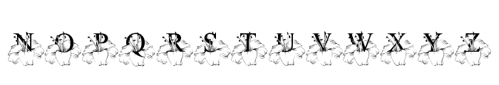 Flower Lily Monogram Font UPPERCASE