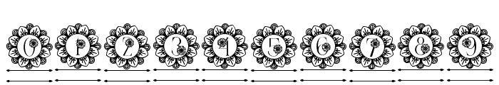 Flower Mandala Monogram Line Font OTHER CHARS