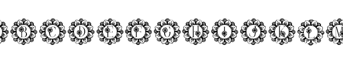 Flower Mandala Monogram Font LOWERCASE