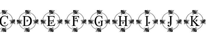 FlowerMonogram Font LOWERCASE