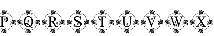 FlowerMonogram Font LOWERCASE
