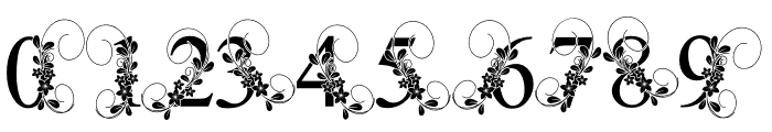 Flowerina-Regular Font OTHER CHARS
