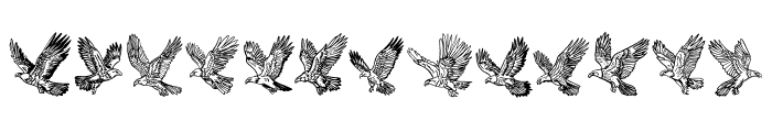 Flying Eagle Font LOWERCASE