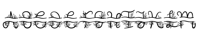 Foliage Monogram Font LOWERCASE
